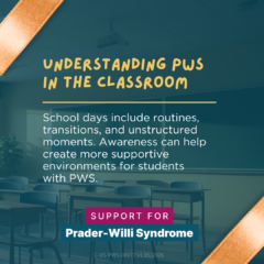 Back-to-school PWS - (1080 x 1080 px) 2 1080 x 1080px